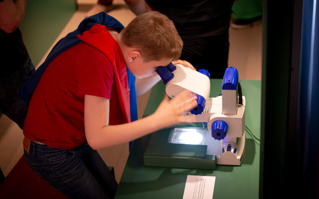 Ein Junge guckt in ein Mikroskop. In Raum 2 der Ausstellung, der Bestattungen thematisiert, können Besuchende versuchen anhand von Knochenquerschnitten das Sterbealter zu bestimmen.