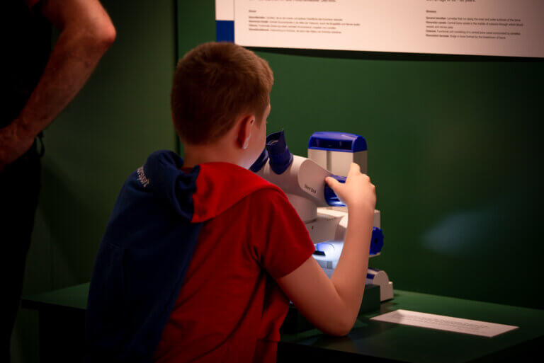 Ein Junge guckt in ein Mikroskop. Hier kann anhand von Knochenproben das Sterbealter von Menschen bestimmt werden.